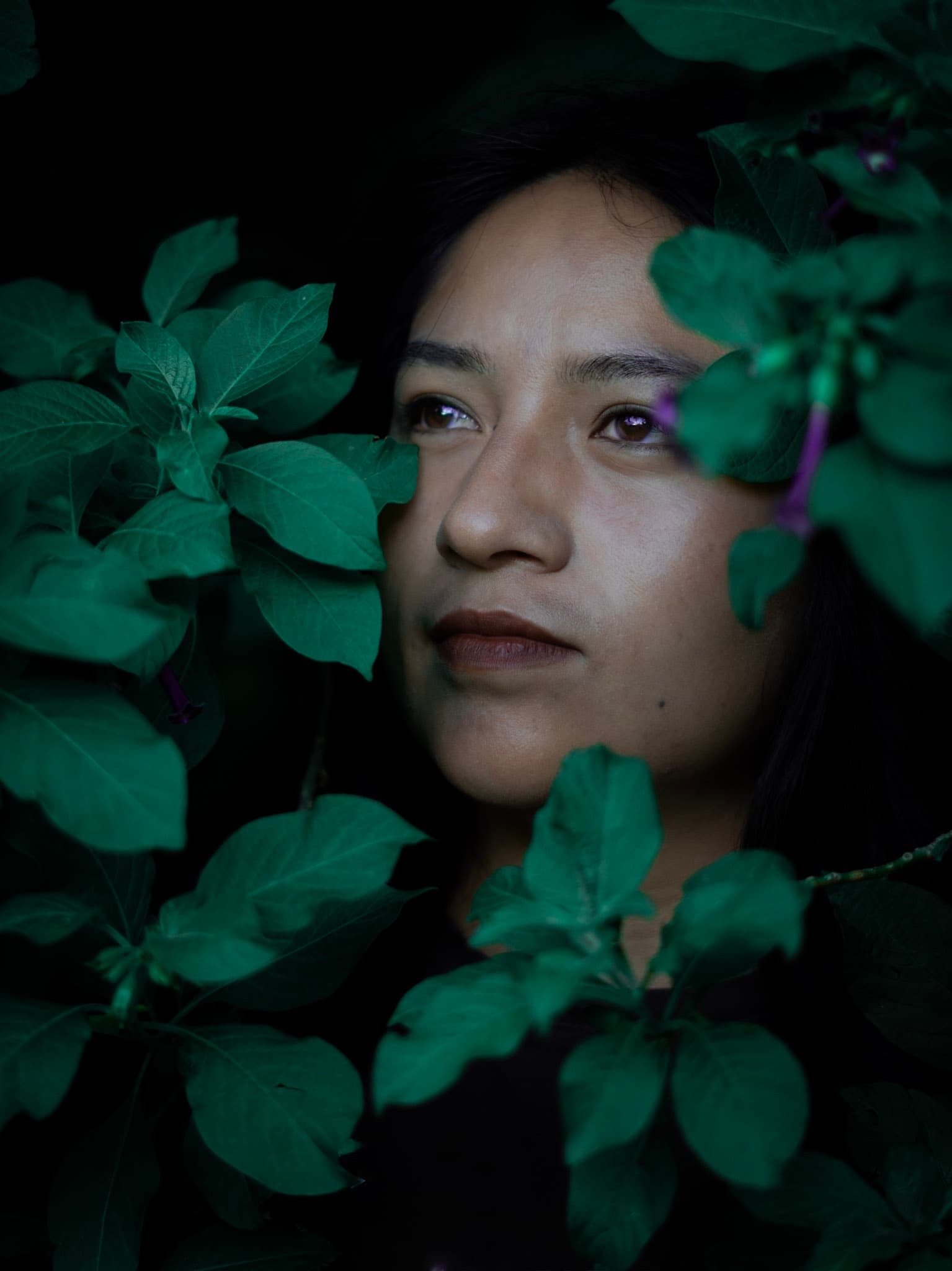 Fotografía de parejas en el Valle de los Chillos — Párraga no yume — 013